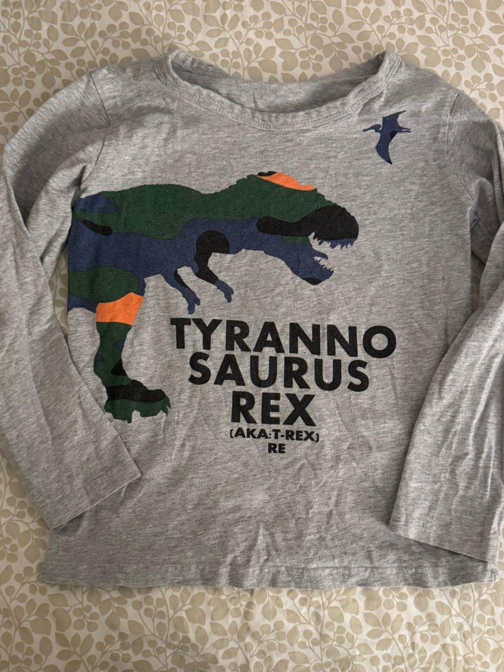 Gray Tyrannosaurus Rex / T-Rex Graphic Tee